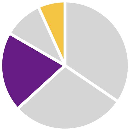 A basic illustration of a Pie chart.