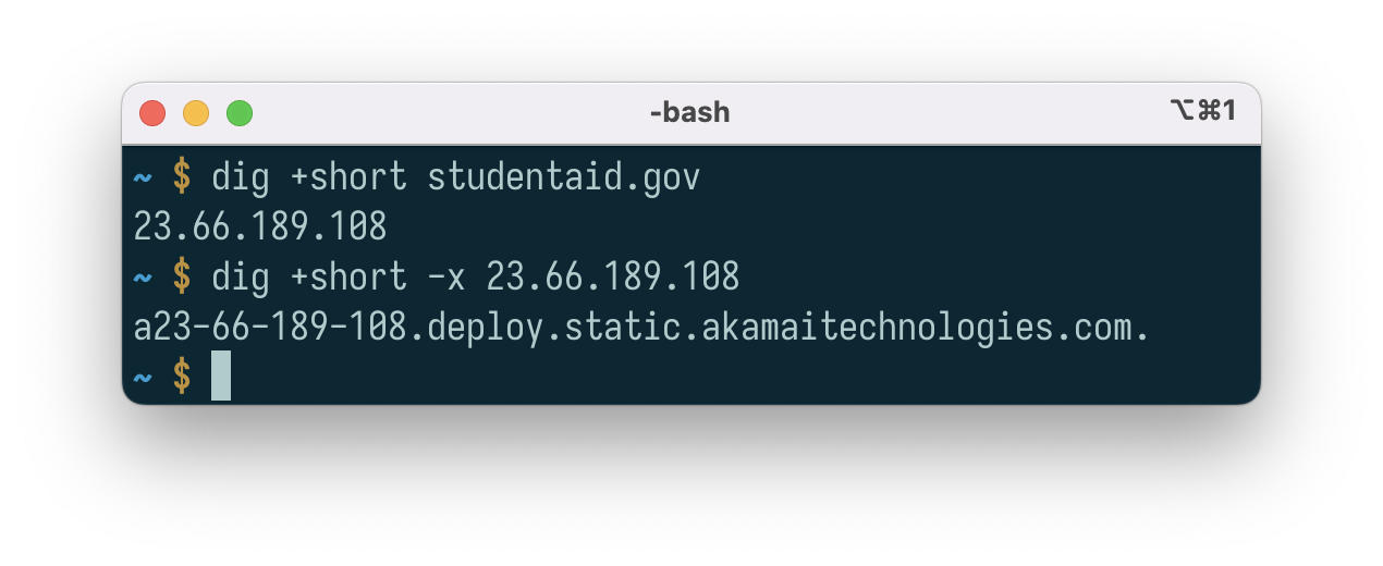 A screenshot from the code terminal showing the DNS location of the site.